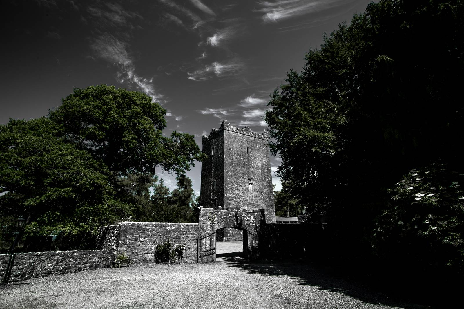 tower_BW_landscape_green_trees